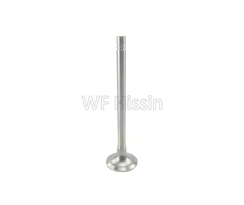 Exhaust Valve NTA855